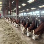 WhatsApp Image 2025-11-26 à 13.58.36_391f5090