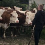 WhatsApp Image 2025-11-26 à 13.58.37_4e3529ff