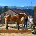 WhatsApp Image 2025-11-26 à 14.38.41_9ed1cd29