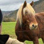 WhatsApp Image 2025-11-26 à 14.38.41_aab0edfa