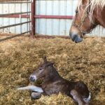 WhatsApp Image 2025-11-26 à 14.38.42_3b2d9bfe