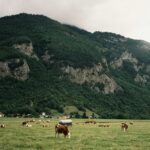 amelie-faurent-V1JAE0QnVL8-unsplash