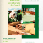 Capture d'écran 2025-12-02 213734