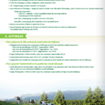 Capture d'écran 2025-12-02 213802